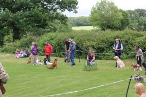 Pop Up Pub @ Glanvilles Wootton Village Hall