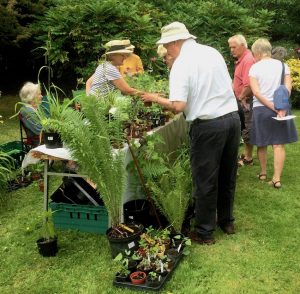 Pop Up Pub @ Glanvilles Wootton Village Hall